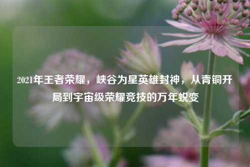 2021年王者荣耀，峡谷为星英雄封神，从青铜开局到宇宙级荣耀竞技的万年蜕变