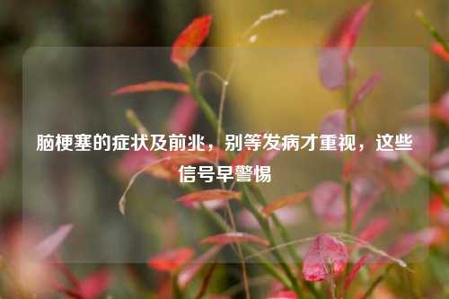 脑梗塞的症状及前兆,别等发病才重视,这些信号早警惕
