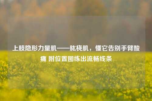 上肢隐形力量肌——肱桡肌,懂它告别手臂酸痛 附位置图练出流畅线条