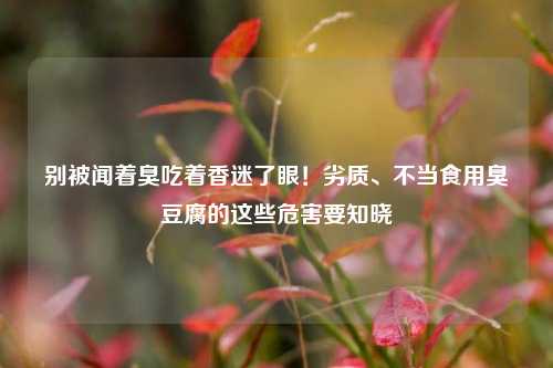 别被闻着臭吃着香迷了眼!劣质、不当食用臭豆腐的这些危害要知晓