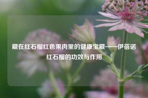 藏在红石榴红色果肉里的健康宝藏——伊蓓诺红石榴的功效与作用
