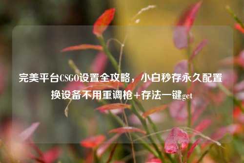 完美平台CSGO设置全攻略,小白秒存永久配置 换设备不用重调枪+存法一键get