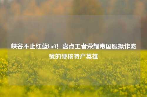 峡谷不止红蓝buff！盘点王者荣耀带国服操作滤镜的硬核特产英雄