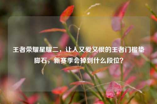 王者荣耀星耀二,让人又爱又恨的王者门槛垫脚石,新赛季会掉到什么段位?