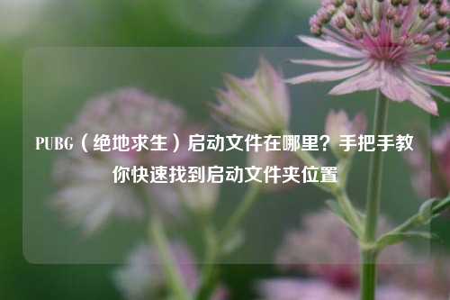 PUBG（绝地求生）启动文件在哪里？手把手教你快速找到启动文件夹位置