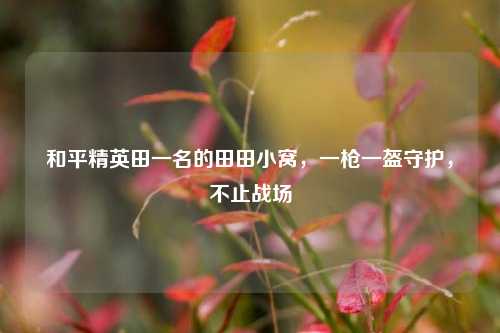 和平精英田一名的田田小窝，一枪一盔守护，不止战场