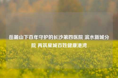 岳麓山下百年守护的长沙第四医院 滨水新城分院 再筑星城百姓健康港湾