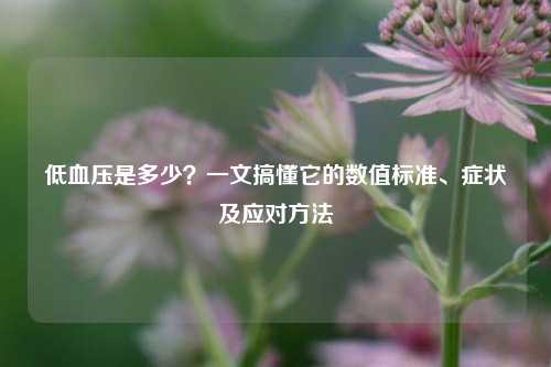 低血压是多少？一文搞懂它的数值标准、症状及应对方法