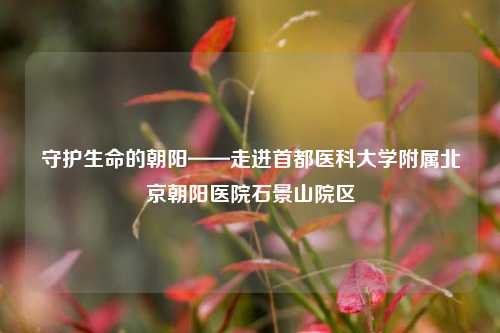 守护生命的朝阳——走进首都医科大学附属北京朝阳医院石景山院区