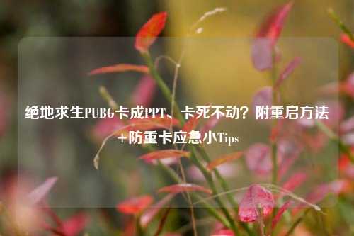 绝地求生PUBG卡成PPT、卡死不动？附重启方法+防重卡应急小Tips