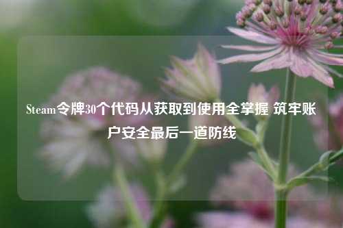 Steam令牌30个代码从获取到使用全掌握 筑牢账户安全最后一道防线