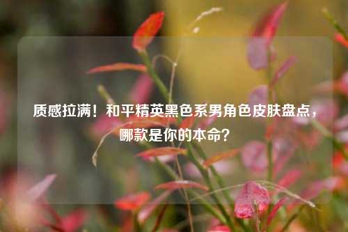 质感拉满！和平精英黑色系男角色皮肤盘点，哪款是你的本命？