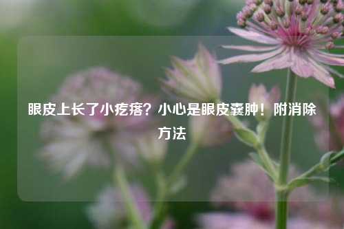 眼皮上长了小疙瘩?小心是眼皮囊肿!附消除方法