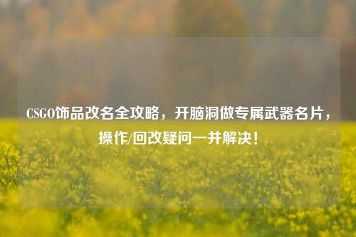 CSGO饰品改名全攻略,开脑洞做专属武器名片,操作/回改疑问一并解决!
