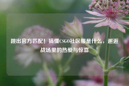 跳出官方匹配！搞懂CSGO社区服是什么，邂逅战场里的热爱与惊喜