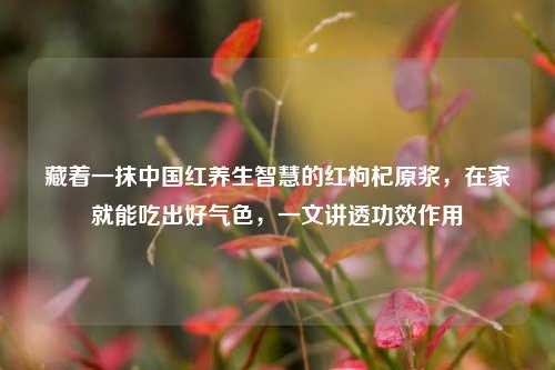 藏着一抹中国红养生智慧的红枸杞原浆，在家就能吃出好气色，一文讲透功效作用