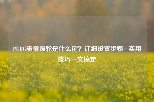 PUBG表情滚轮是什么键?详细设置步骤+实用技巧一文搞定