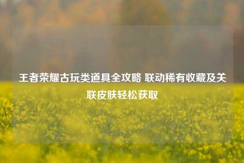 王者荣耀古玩类道具全攻略 联动稀有收藏及关联皮肤轻松获取