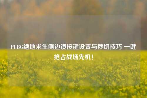 PUBG绝地求生侧边镜按键设置与秒切技巧 一键抢占战场先机!