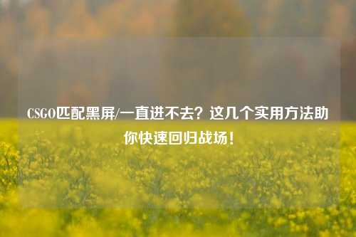 CSGO匹配黑屏/一直进不去？这几个实用方法助你快速回归战场！