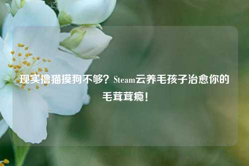 现实撸猫摸狗不够?Steam云养毛孩子治愈你的毛茸茸瘾!