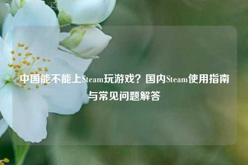 中国能不能上Steam玩游戏？国内Steam使用指南与常见问题解答