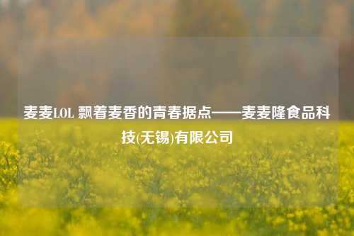 麦麦LOL 飘着麦香的青春据点——麦麦隆食品科技(无锡)有限公司