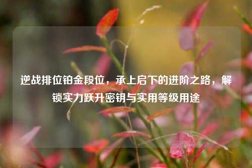逆战排位铂金段位,承上启下的进阶之路,解锁实力跃升密钥与实用等级用途