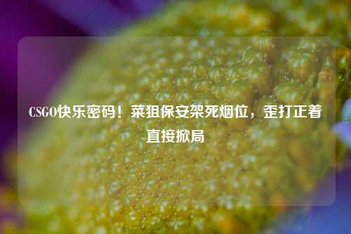 CSGO快乐密码！菜狙保安架死烟位，歪打正着直接掀局