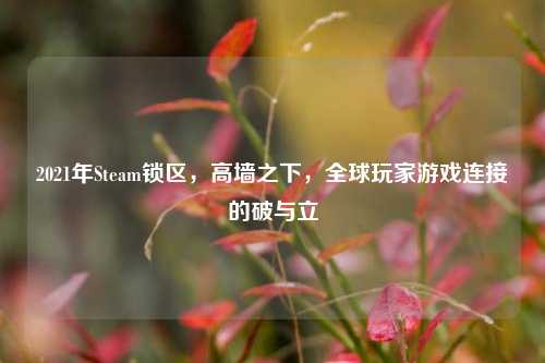 2021年Steam锁区,高墙之下,全球玩家游戏连接的破与立