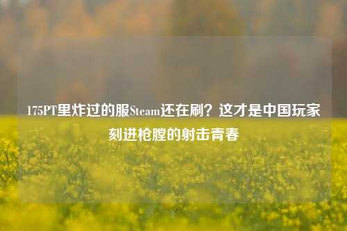 175PT里炸过的服Steam还在刷?这才是中国玩家刻进枪膛的射击青春