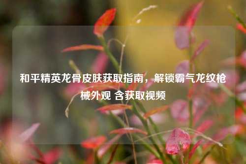 和平精英龙骨皮肤获取指南,解锁霸气龙纹枪械外观 含获取视频