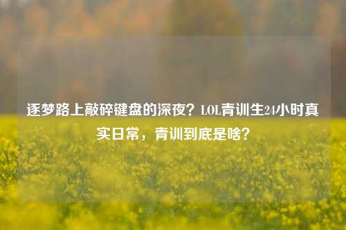 逐梦路上敲碎键盘的深夜?LOL青训生24小时真实日常,青训到底是啥?