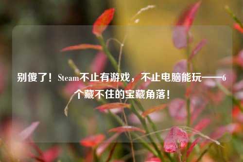 别傻了!Steam不止有游戏,不止电脑能玩——6个藏不住的宝藏角落!