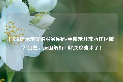 PUBG提示未提供服务密码/手游未开放所在区域？别急，原因解析+解决攻略来了！