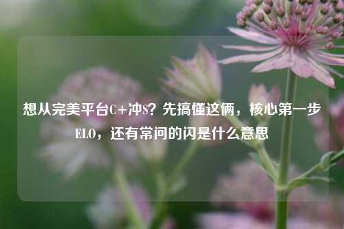 想从完美平台C+冲S?先搞懂这俩,核心第一步ELO,还有常问的闪是什么意思