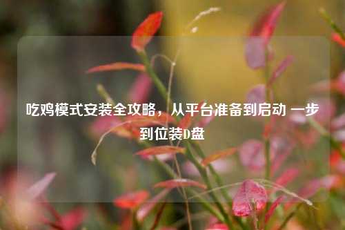 吃鸡模式安装全攻略,从平台准备到启动 一步到位装D盘