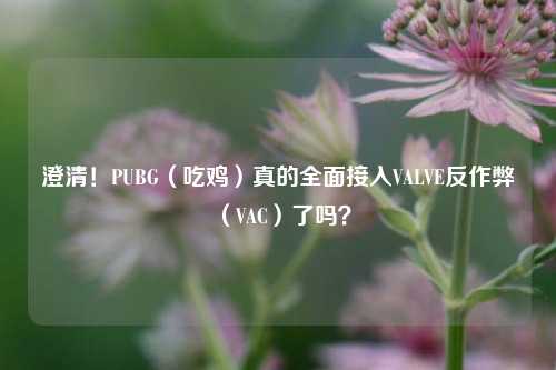 澄清！PUBG（吃鸡）真的全面接入VALVE反作弊（VAC）了吗？