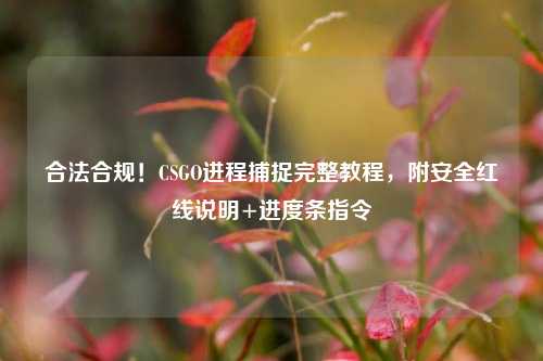 合法合规!CSGO进程捕捉完整教程,附安全红线说明+进度条指令