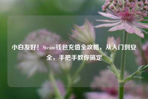 小白友好！Steam钱包充值全攻略，从入门到安全，手把手教你搞定