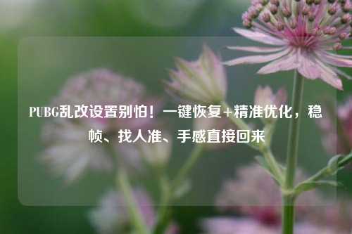 PUBG乱改设置别怕!一键恢复+精准优化,稳帧、找人准、手感直接回来