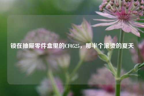 锁在抽屉零件盒里的CF0525,那半个滚烫的夏天