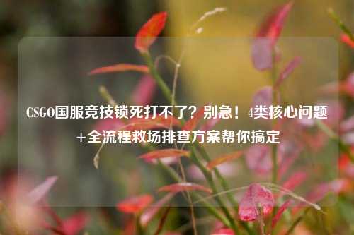 CSGO国服竞技锁死打不了?别急!4类核心问题+全流程救场排查方案帮你搞定