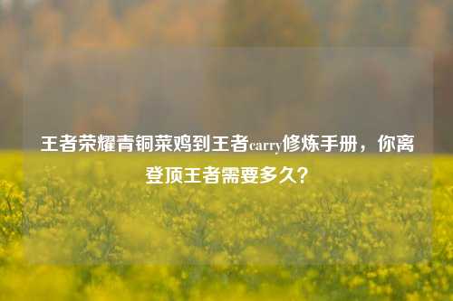 王者荣耀青铜菜鸡到王者carry修炼手册，你离登顶王者需要多久？