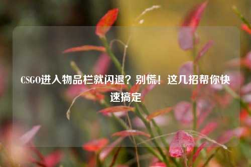 CSGO进入物品栏就闪退？别慌！这几招帮你快速搞定