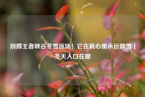 别蹲王者峡谷冬雪返场!它在我心里永远飘雪|冬天入口在哪