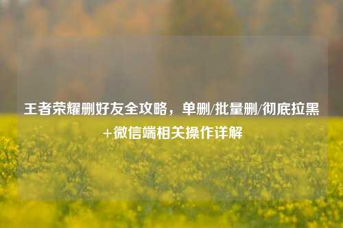 王者荣耀删好友全攻略，单删/批量删/彻底拉黑+微信端相关操作详解
