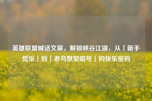 英雄联盟喊话文案,解锁峡谷江湖,从「新手慌张」到「老鸟默契暗号」的快乐密码
