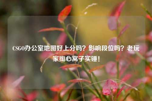 CSGO办公室地图好上分吗?影响段位吗?老玩家掏心窝子实锤!