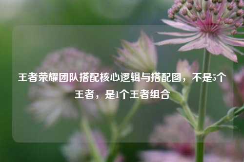 王者荣耀团队搭配核心逻辑与搭配图，不是5个王者，是1个王者组合